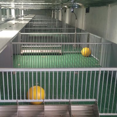 Ferkelbucht_Tunnellüftung_Spielzeug_WEDA_Galerie