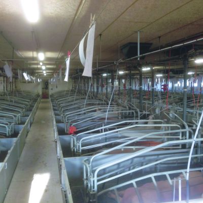 Flüssigfütterung_Nutrix_imStall_WEDA_Galerie