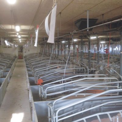 Flüssigfütterung_Nutrix_imStall_WEDA_ArticleTeaser