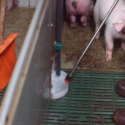 Flüssigfütterung_Nutrix_Reinigung_Kunststofftrog_WEDA_Galerie