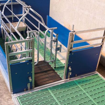 Stalleinrichtung_Bewegungsbuchten_Gruppenabferkelung_WEDA_Galerie