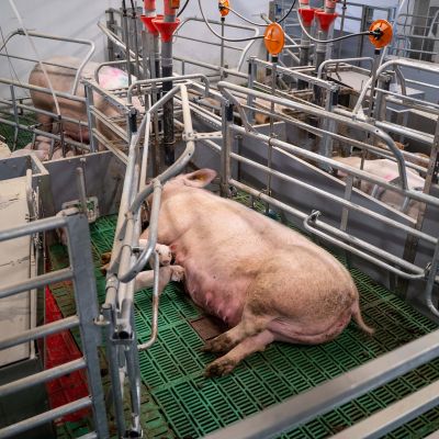 WEDA_FitBucht_Bent_Hansen