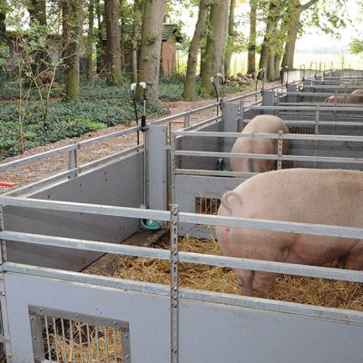 pic 1 Weda-Wilhelminenhof