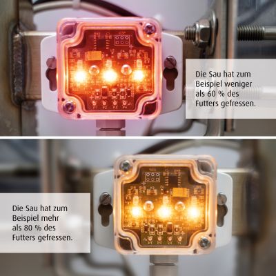 Fütterungstechnik_Smart.Light_mitText_WEDA