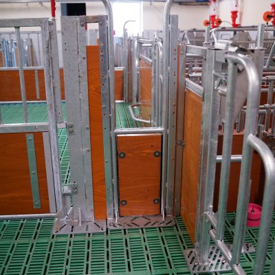 Smart.Scope Teleskopierbar Schwenktor Seitenschlupf