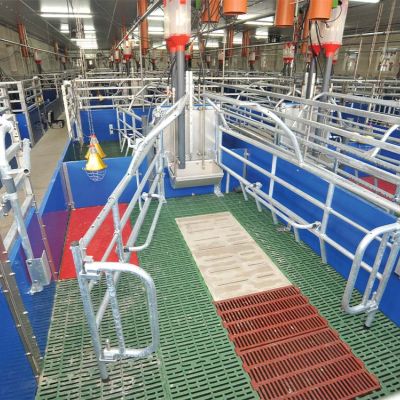 Stalleinrichtung_Bewegungsbucht_WEDA_Bewegungsbucht_Galerie