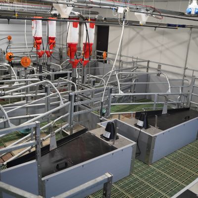 WEDA_Fit_Bucht_Bent_Hansen