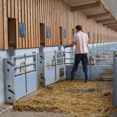 WEDA Quick.Gate Neuheit 2022