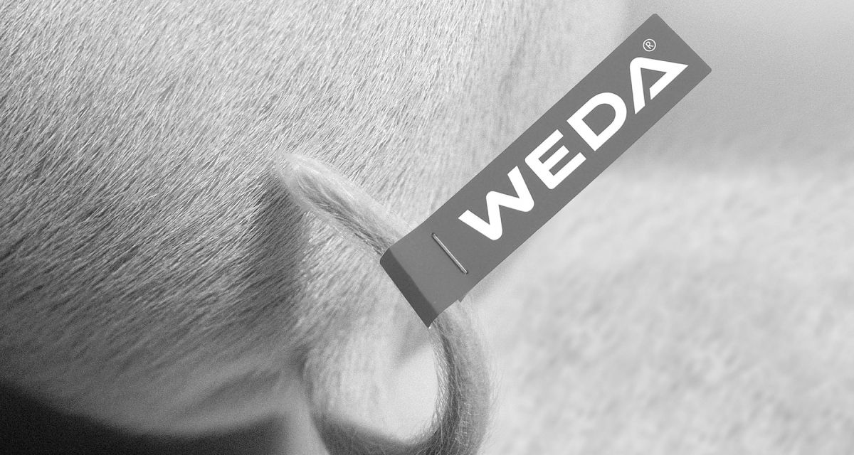 WEDA