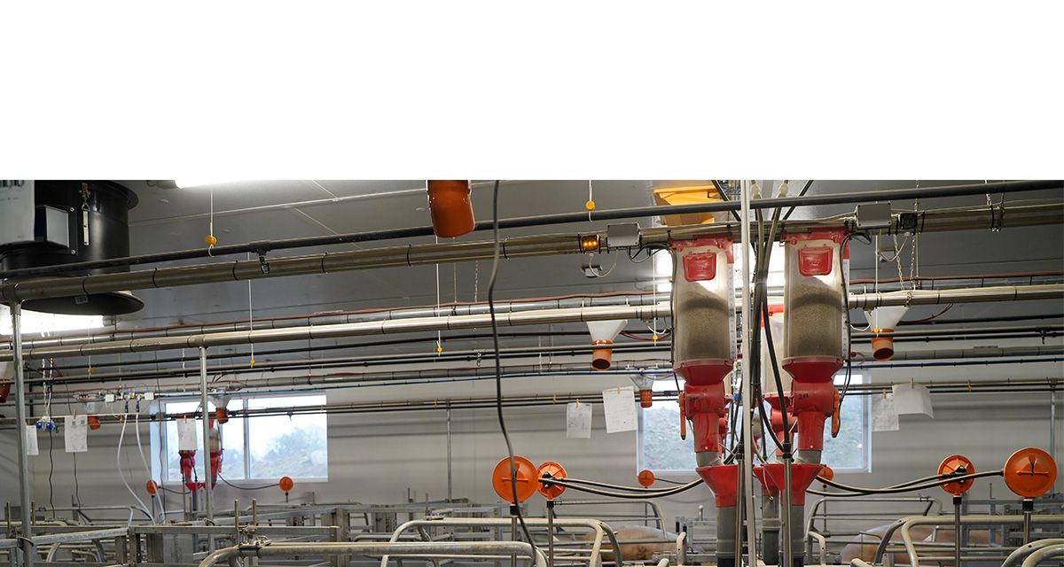 Opti.Mum_Header_im_Stall